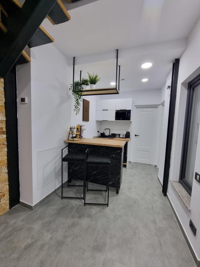 Casa Chiper - Apartament Parter Braşov Exteriör bild